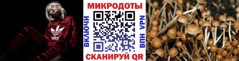 Псилоцибиновые грибы Cubensis  Йошкар-Ола 
